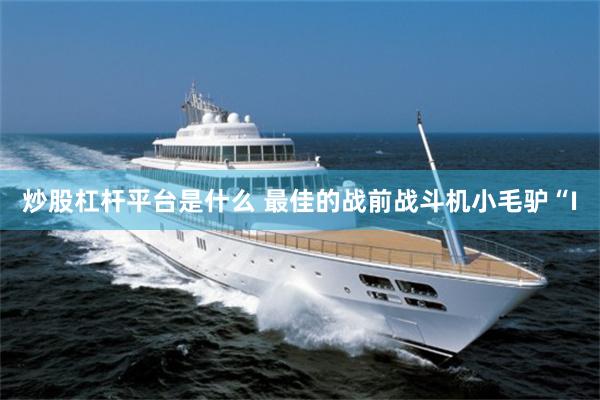 炒股杠杆平台是什么 最佳的战前战斗机小毛驴“I