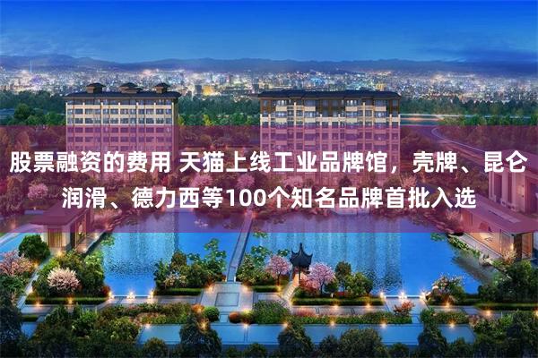 股票融资的费用 天猫上线工业品牌馆，壳牌、昆仑润滑、德力西等100个知名品牌首批入选