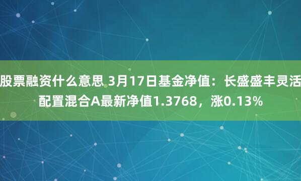 股票融资什么意思 3月17日基金净值：长盛盛丰灵活配置混合A最新净值1.3768，涨0.13%