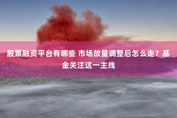 股票融资平台有哪些 市场放量调整后怎么走？基金关注这一主线