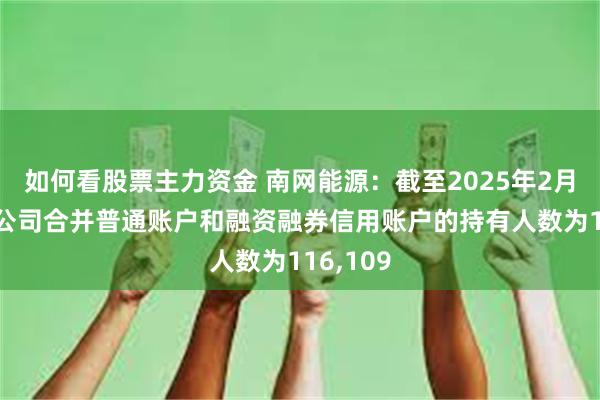 如何看股票主力资金 南网能源：截至2025年2月10日，公司合并普通账户和融资融券信用账户的持有人数为116,109
