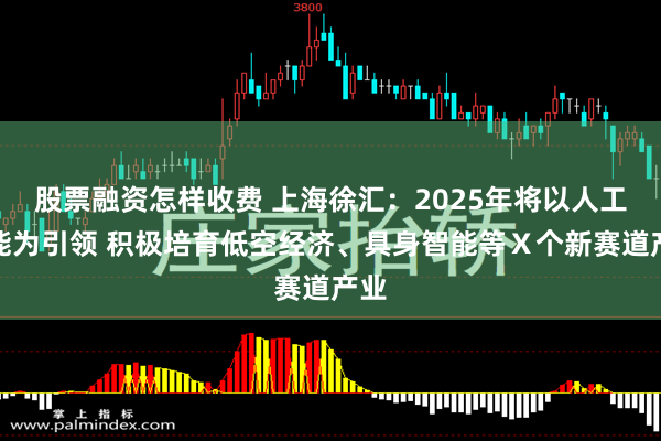 股票融资怎样收费 上海徐汇：2025年将以人工智能为引领 积极培育低空经济、具身智能等Ⅹ个新赛道产业