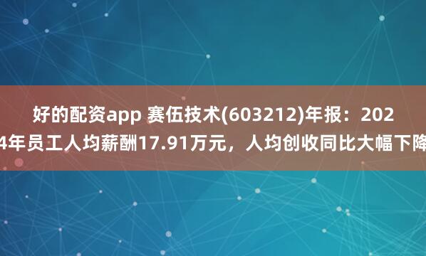 好的配资app 赛伍技术(603212)年报：2024年员工人均薪酬17.91万元，人均创收同比大幅下降