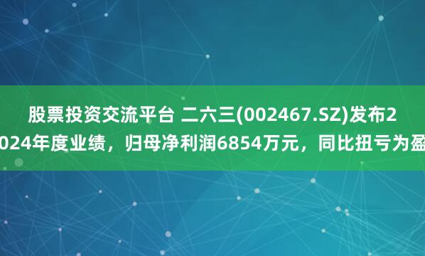 股票投资交流平台 二六三(002467.SZ)发布2024年度业绩，归母净利润6854万元，同比扭亏为盈