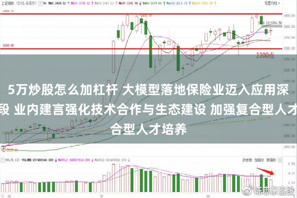 5万炒股怎么加杠杆 大模型落地保险业迈入应用深化阶段 业内建言强化技术合作与生态建设 加强复合型人才培养