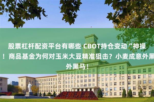 股票杠杆配资平台有哪些 CBOT持仓变动“神操作”！商品基金为何对玉米大豆精准狙击？小麦成意外黑马！