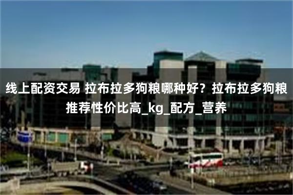 线上配资交易 拉布拉多狗粮哪种好？拉布拉多狗粮推荐性价比高_kg_配方_营养