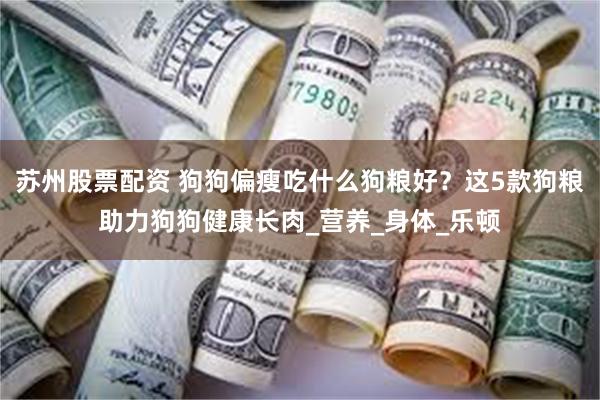 苏州股票配资 狗狗偏瘦吃什么狗粮好？这5款狗粮助力狗狗健康长肉_营养_身体_乐顿