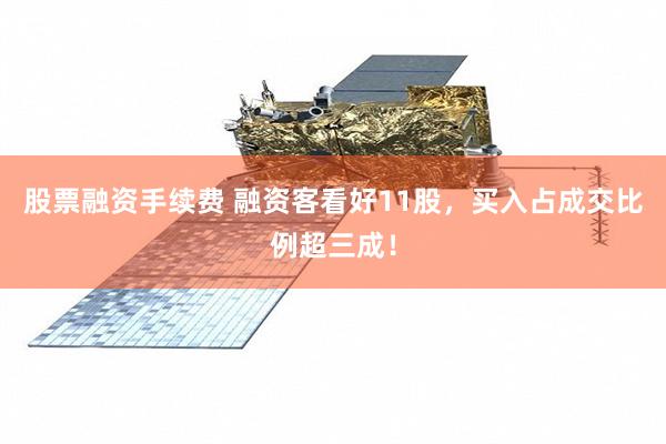 股票融资手续费 融资客看好11股，买入占成交比例超三成！
