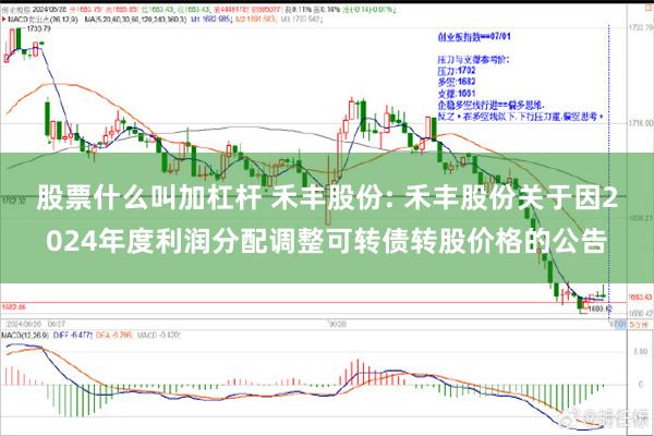 股票什么叫加杠杆 禾丰股份: 禾丰股份关于因2024年度利润分配调整可转债转股价格的公告