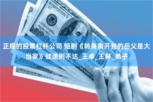 正规的股票杠杆公司 短剧《转身离开我的岳父是大当家》欲速则不达_王卓_王林_弟子