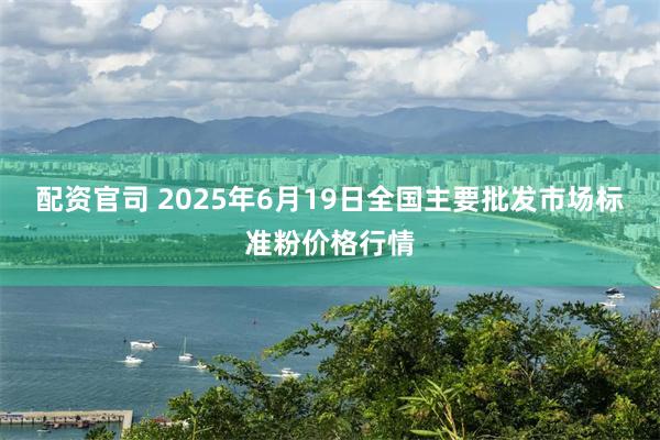 配资官司 2025年6月19日全国主要批发市场标准粉价格行情