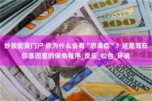 炒股配资门户 你为什么会有“恐高症”？这是写在你基因里的保命程序_反应_松台_环境